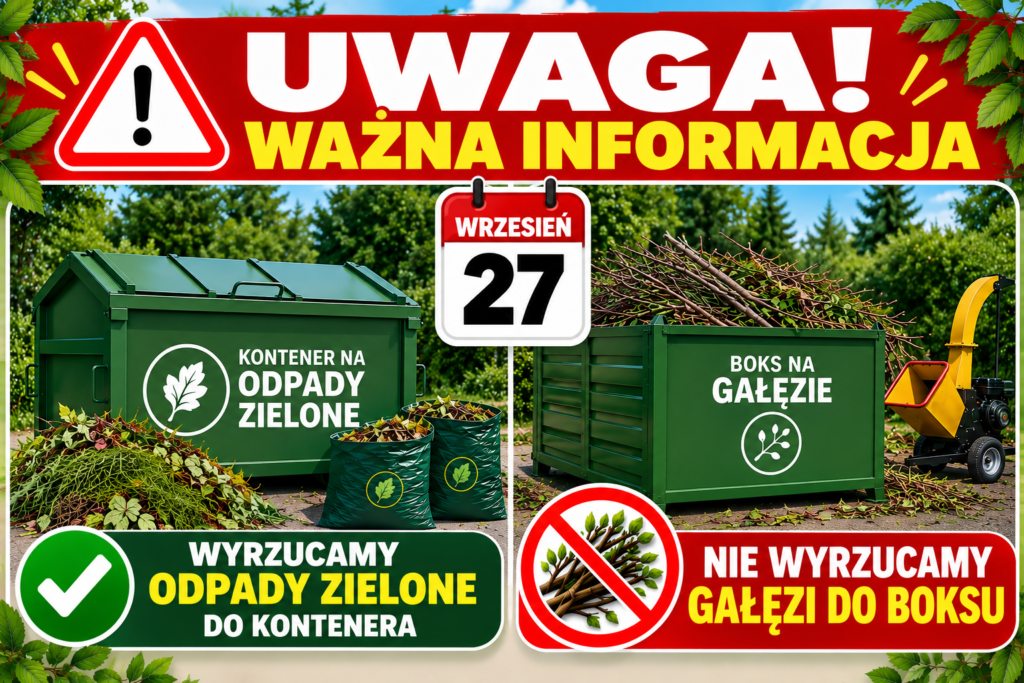 boks galezie zielone 1