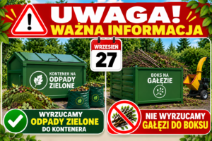 boks galezie zielone 1